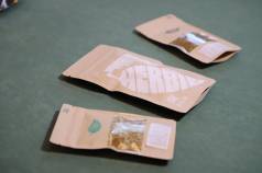Mini IMG 5847